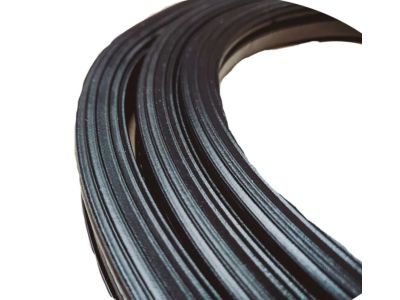 Jeep Commander Weather Strip - 55369015AD