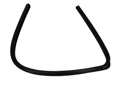 Mopar 55359442AD Seal-Rear Door Glass