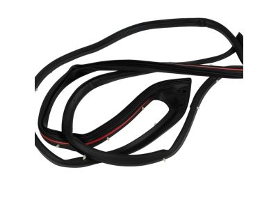 Dodge Nitro Weather Strip - 68045995AA