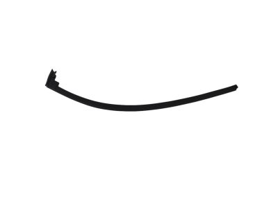Mopar 4575884AE WEATHERSTRIP-Front Door Belt