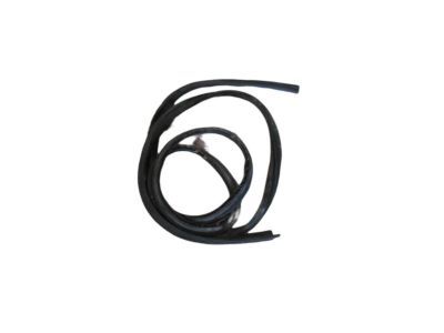 Chrysler Grand Voyager Weather Strip - 4717327