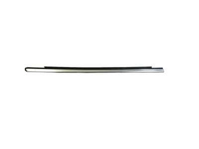 Mopar 4805998AG WEATHERSTRIP-Rear Door Belt