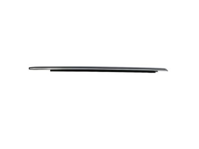 Mopar 4805998AG WEATHERSTRIP-Rear Door Belt
