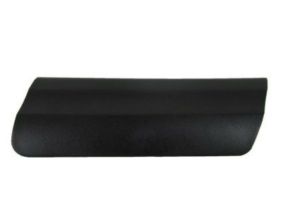 1SE88KX7AA Mopar Cowl Grille Cover Product Photo 1 of 4