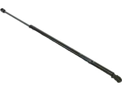Dodge Grand Caravan Lift Support - 4589655AD