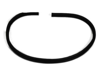 Mopar 55277035AB Seal-Body Side