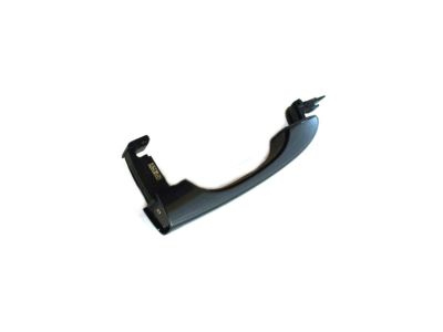Chrysler 200 Door Handle - 5LX991X8AC