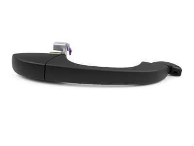 Ram C/V Door Handle - 4589716AD