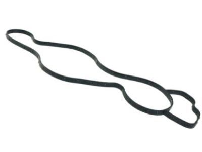 Mopar 68165890AA Gasket-Water Pump