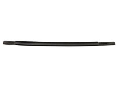 Mopar 55399117AA WEATHERSTRIP-Rear Door Belt