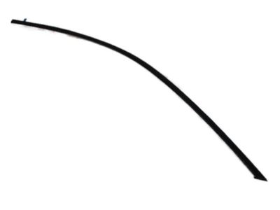 Mopar 57010504AE Molding-Front Door