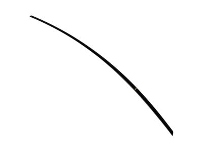 Mopar 68196931AA Molding-Rear Door
