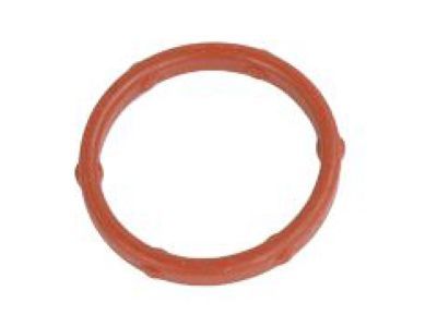 Mopar 68258961AA O Ring