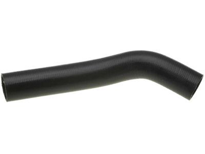 Dodge Dakota Radiator Hose - 52029281AA