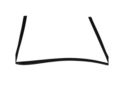 Mopar 68040038AB WEATHERSTRIP-Front Door Glass