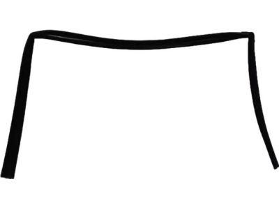Mopar 68040038AB WEATHERSTRIP-Front Door Glass