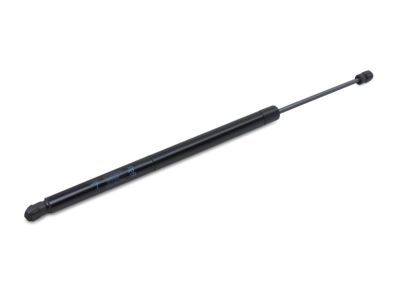 Dodge Grand Caravan Lift Support - 4589655AC