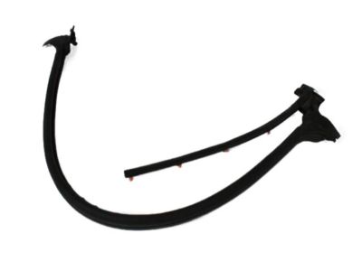 Dodge Dakota Door Seal - 55359396AF