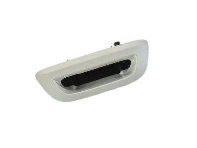 2017 Chrysler Pacifica Tailgate Handle - 5RP06PW2AA
