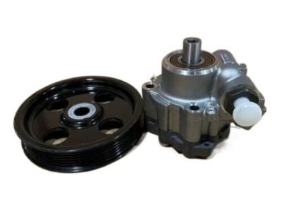 Mopar 68102471AA Kit-Pump & PULLEY