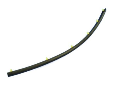 Mopar 68036674AB WEATHERSTRIP-Rear Door