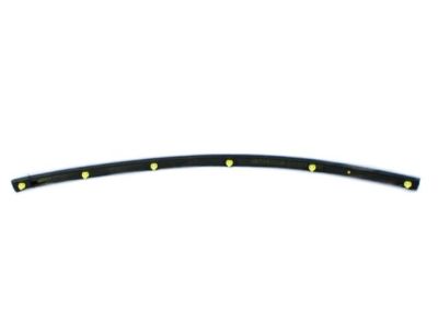 2021 Jeep Grand Cherokee Weather Strip - 68036674AB