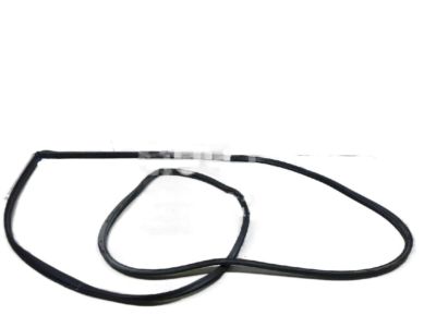 Chrysler Grand Voyager Door Seal - 4717329