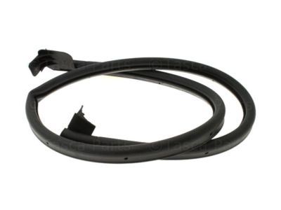 2014 Jeep Wrangler Weather Strip - 55395272AL