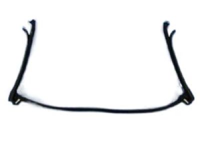 2013 Chrysler 200 Weather Strip - 4389633AJ