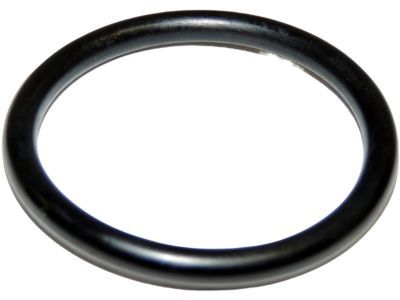 Mopar 53021239AA O Ring-Chain Case Cover
