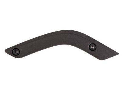 Mopar 1RC73JAHAE Bezel-Grab Handle