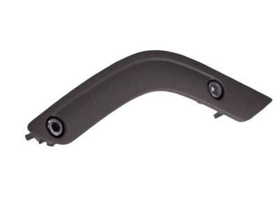 Mopar 1RC73JAHAE Bezel-Grab Handle