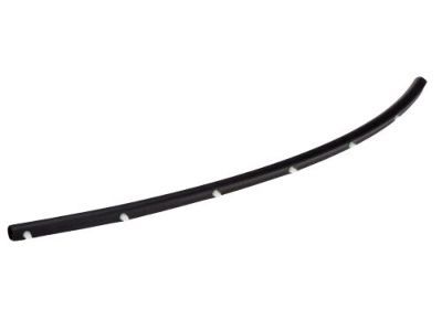 2018 Dodge Challenger Weather Strip - 68040220AC