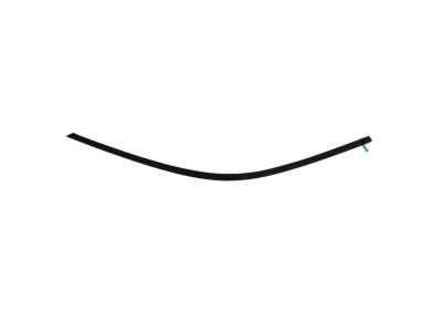 Mopar 57010504AI Molding-Front Door