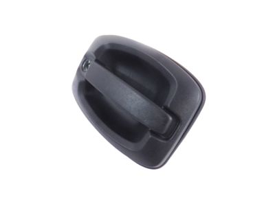 Ram ProMaster 1500 Door Handle - 5RK15JXWAA