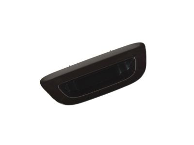 Chrysler Pacifica Tailgate Handle - 5RP08GUVAA