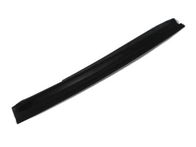 2008 Dodge Ram 2500 Door Seal - 55276439AD