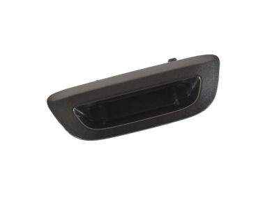 2017 Chrysler Pacifica Tailgate Handle - 5RP06LAUAA