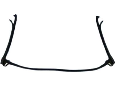 Chrysler Sebring Weather Strip - 4389633AE