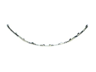 Mopar 68202984AB Surround-Grille