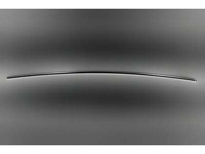 Mopar 68196930AA Molding-Rear Door