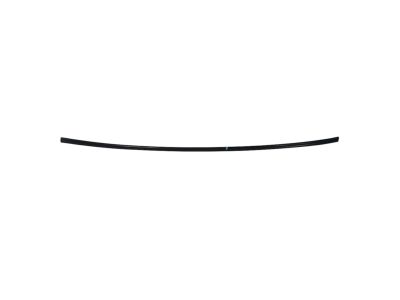 2015 Dodge Dart Door Moldings - 68196930AA