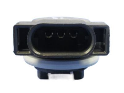 Mopar 68060366AA Socket-Park And Turn Signal