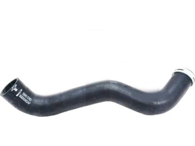 55056982AF Mopar Radiator Outlet Hose Product Photo 1 of 2