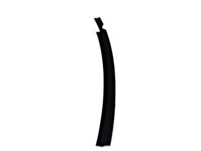 Dodge Ram 4500 Weather Strip - 55277218AB