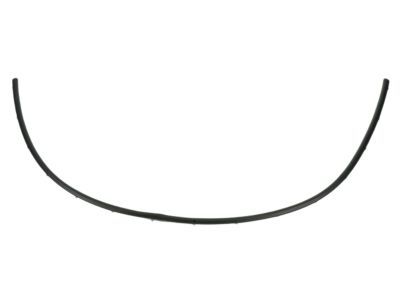 Chrysler Pacifica Weather Strip - 68243221AA