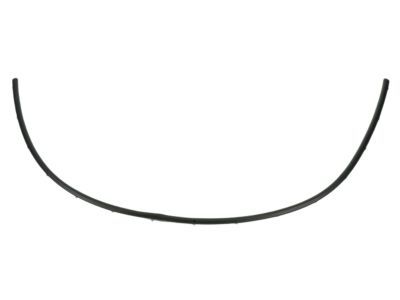 Chrysler Voyager Weather Strip - 68243221AA