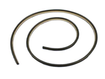 Chrysler 300 Door Seal - 1KV45DX9AG