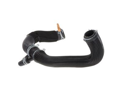 2015 Dodge Charger Radiator Hose - 4598103AG