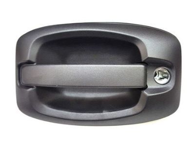 2019 Ram ProMaster 3500 Door Handle - 5RJ95JXWAD